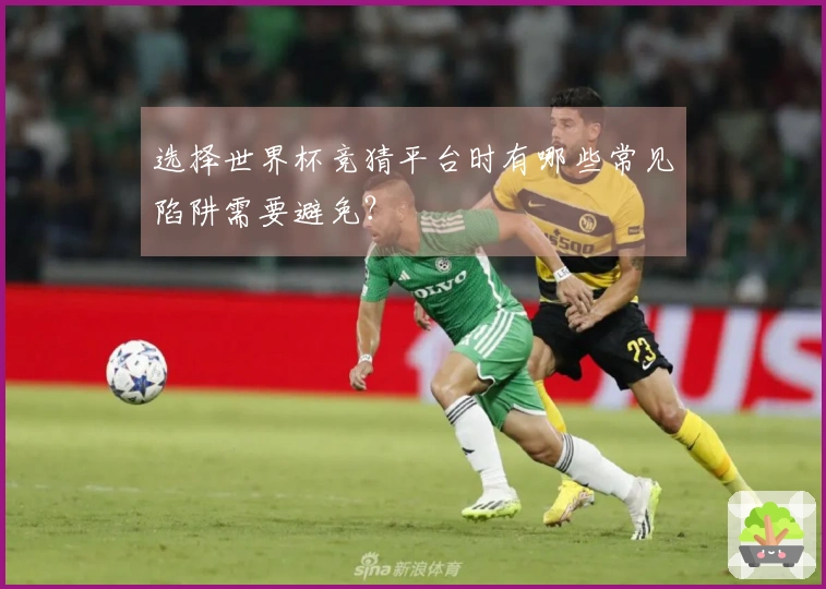 选择世界杯竞猜平台时有哪些常见陷阱需要避免？