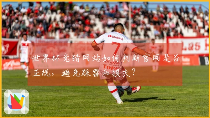 世界杯竞猜网站如何判断官网是否正规，避免踩雷和损失？